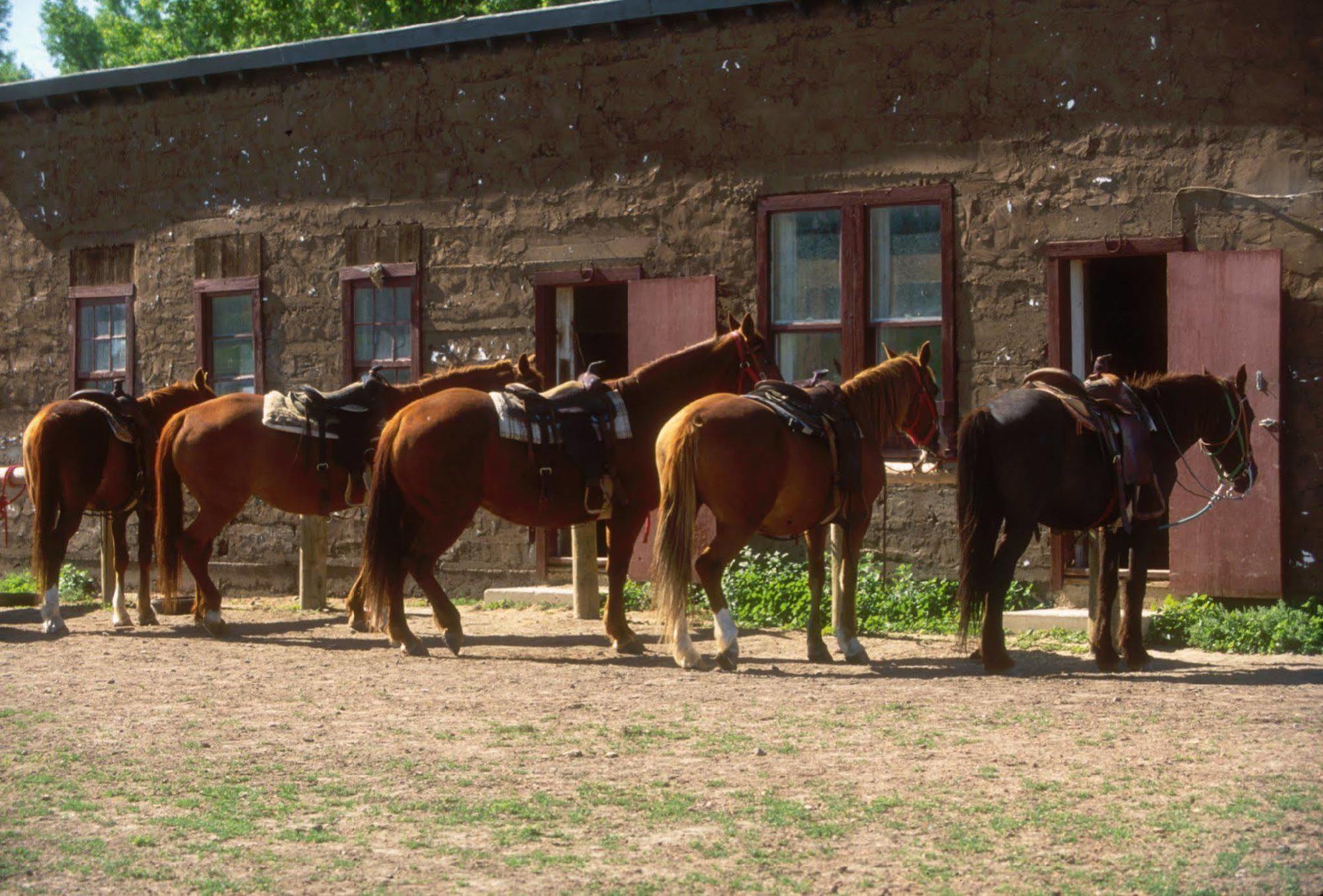 מלון The Ranch At Ucross מראה חיצוני תמונה